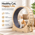 The OmniPaw™ RunArc Indoor Cat Exercise Wheel