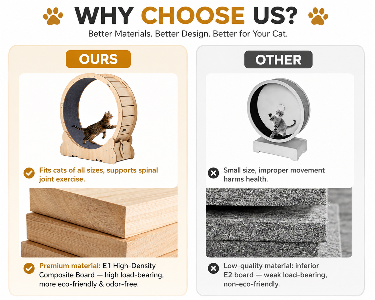 The OmniPaw™ RunArc Indoor Cat Exercise Wheel
