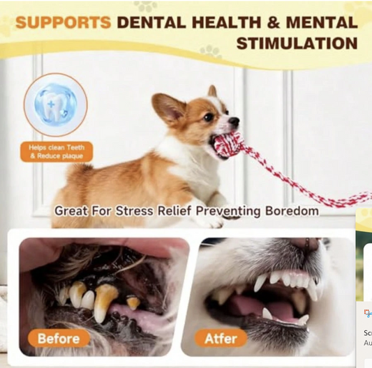 The OmniPaw™ TugDock — Interactive Suction Tug & Chew Toy