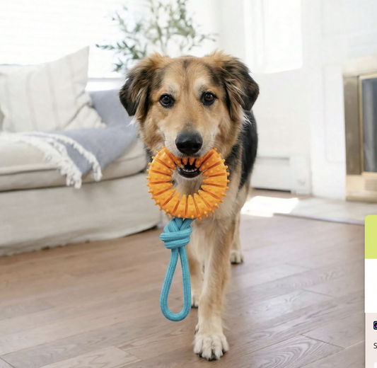 The OmniPaw™ MintLoop — Dental Chew Wheel & Rope Tug Toy