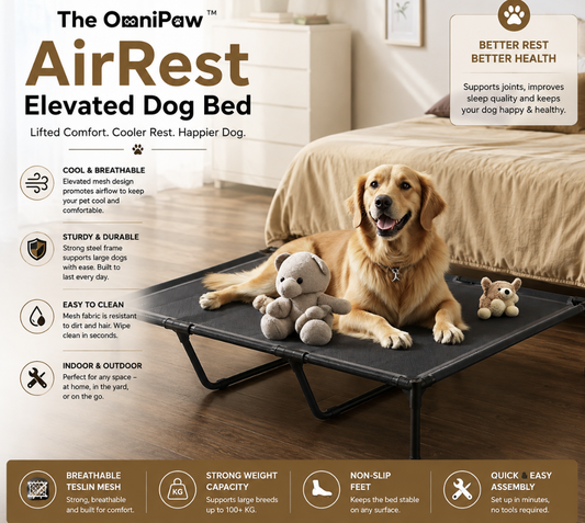 The OmniPaw™ AirRest Elevated Dog Bed